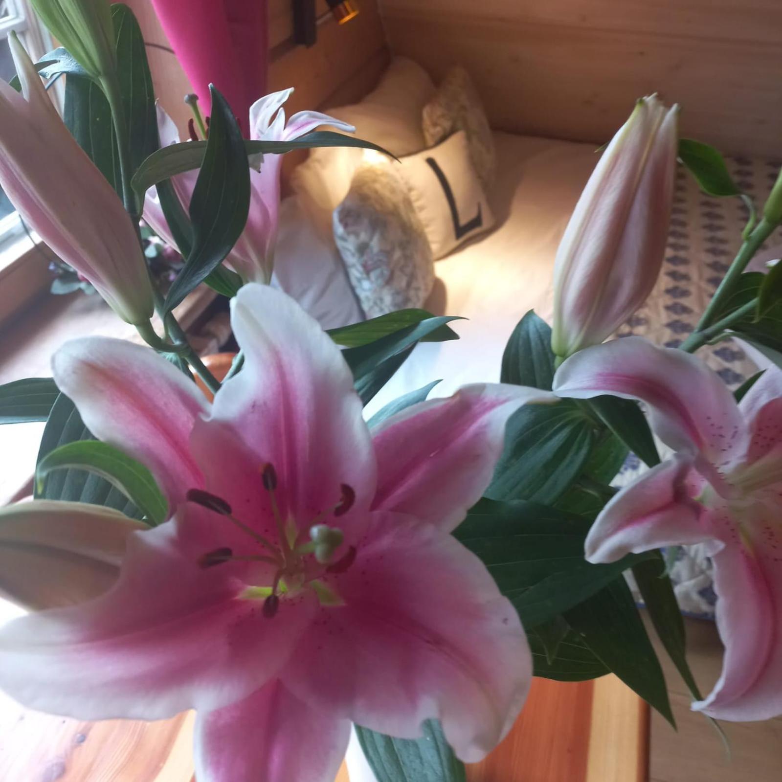 Bed and Breakfast Lily Garden Mizerna Exterior foto