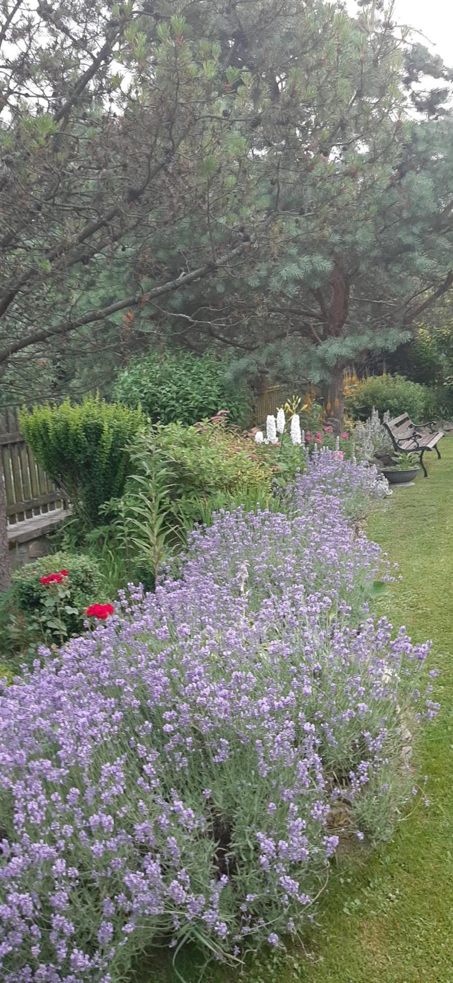 Bed and Breakfast Lily Garden Mizerna Exterior foto
