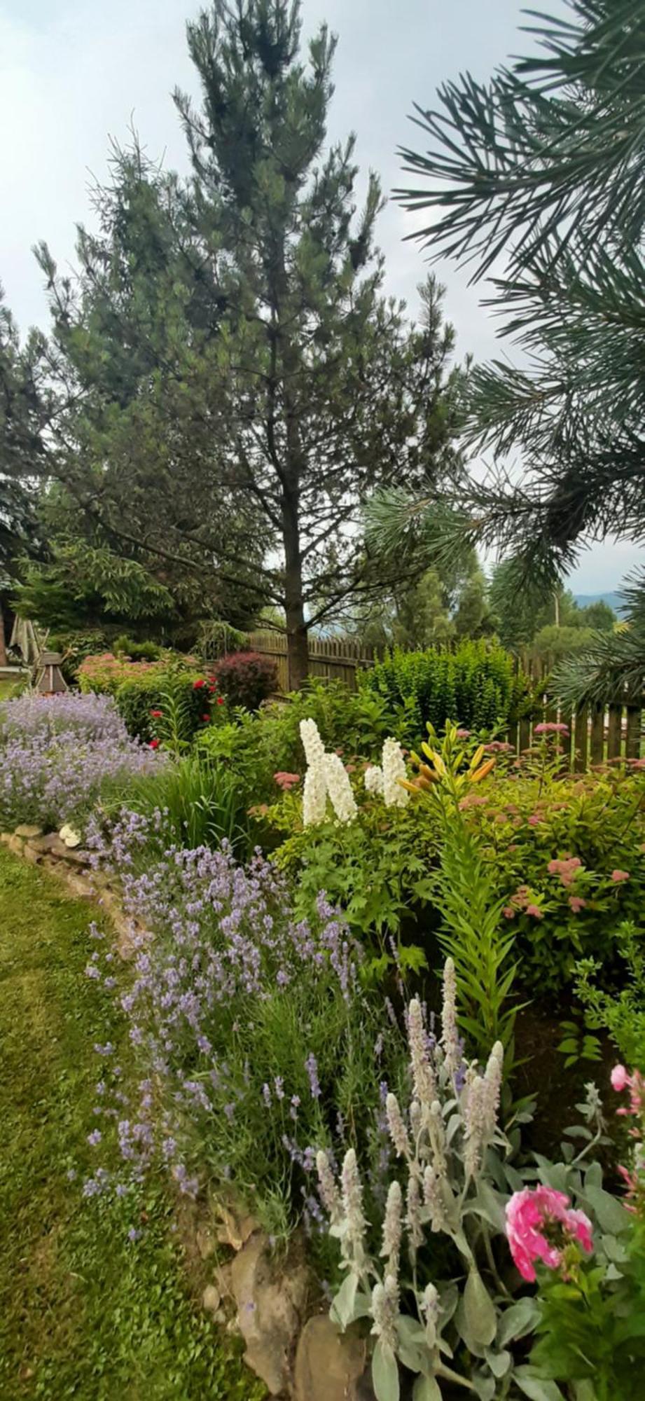 Bed and Breakfast Lily Garden Mizerna Exterior foto