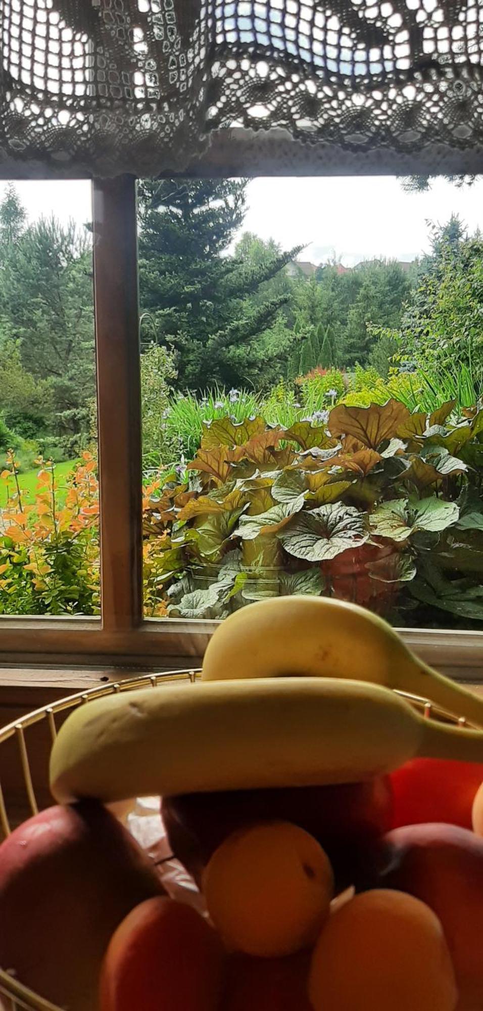 Bed and Breakfast Lily Garden Mizerna Exterior foto