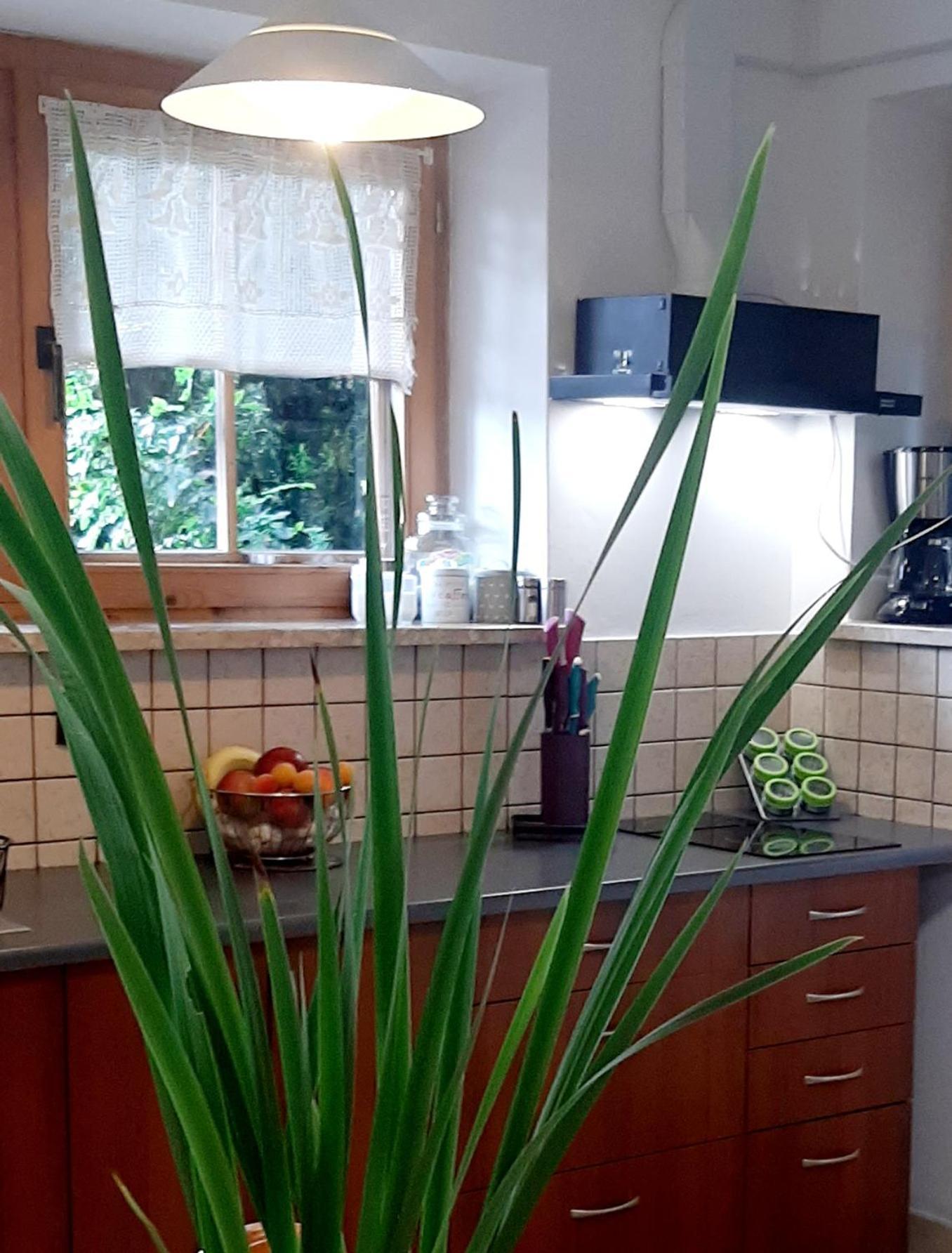 Bed and Breakfast Lily Garden Mizerna Exterior foto